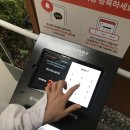 요아정부산 이미지