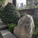 1-1호 어린이공원 이미지