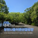충북괴산 캠핑장 추천, 하루 만원으로 즐기는 청천나들이펜션캠핑장 , 낚시와 함께 즐기는 극강의...