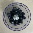 웃담 | 오늘 바로 오트밀