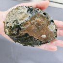 오느른 미 이미지