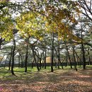 수로왕릉 이미지