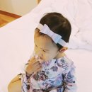 비바윤 이미지