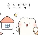 중문허브독채펜션 이미지