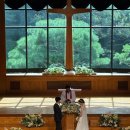 에덴장식 이미지