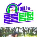 별별이야기스튜디오 OSEN