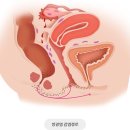 스타비뇨기과의원 이미지