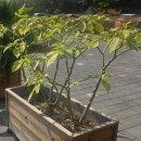 이리북일초등학교 이미지