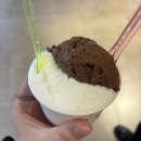 젤라떼리아도도 | [강남] 강남 코엑스몰 디저트 맛집 젤라떼리아도도 내돈내산 후기ㅣ쇼핑 후 당 충전 필수 젤라또 맛집