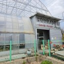 어사농장 이미지