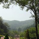 수목원가든 이미지