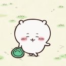 W2. 밝은 웨딩홀 투어 🪽 - 부천 소풍 컨벤션 베일리홀 🔔 상담 후기 (+리뉴얼 조감도)