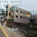 대지 이미지