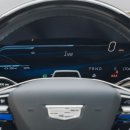 다운옵틱 이미지