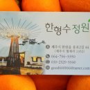 카카오 이미지