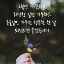 있을때 잘혀 이미지