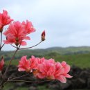 승기천로 이미지