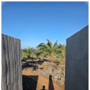 소담재 | 제주 독채펜션 추천! 제주소담재 가족여행 숙소 후기