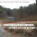 여주-0439 Daum카페