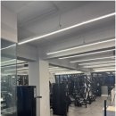 피티투그로우 PT 이미지