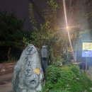 달빛든솔 이미지