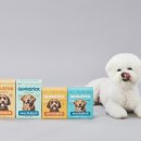 ㈜에이아이헬스케어 이미지