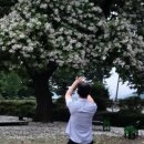 황제농장 이미지