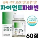 자이언트파마 이미지