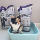 이쁜냥이 | 20개월째 사용하는 마이도미넌트 지구퍼플 고양이 벤토나이트 모래, 임신냥이도 반했어요!