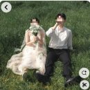 5) 플래너 없이 웨딩촬영 준비하기💐📸(찐스튜디오, 르에드드레스, 숨고 데이지헬퍼 계약후기)(대가성X)