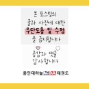 용인대 서현 태권도장 이미지