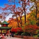 주석농장 이미지