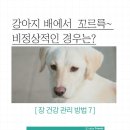 꼬르륵 - 세종특별자치시 한누리대로 2236 | 꼬르륵
