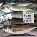 수산물마트