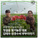 김태우농장 네이버블로그