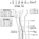 [足太陰脾經][족태음비경] 이미지