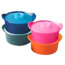 대성인터내셔날 이미지