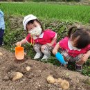 야호농장 이미지