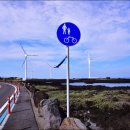 고산목장2 이미지