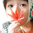 옵튼스튜디오 이미지