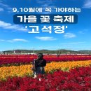 가우라헤어 | 고석정꽃밭 가을꽃축제 완벽정리｜요금·주차·포토스팟·베스트 시간대