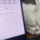 수도음악교습소 | 2026-2. 3월 모의고사 후기.