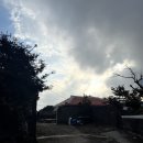 도쉼 | 제주 동쪽 혼자 여행 숙소 종달리 도쉼 게스트하우스 내돈내산 후기