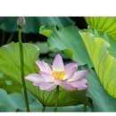 (주)세종디자인 네이버블로그
