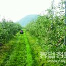 태광1농장 이미지