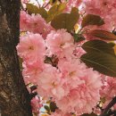 첫번째 계절 이미지