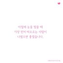 명동쌈밥 이미지