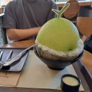 부산대설빙 최애 설빙메뉴 요거통통메론설빙 !