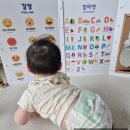 명품앤네이처 | 하기스 맥스드라이 쉬샘 8개월아기놀이 중기이유식 아이사랑꿈터 연수2호점