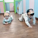 애완도마뱀을 관찰해요/도마뱀을 흉내내요 이미지
